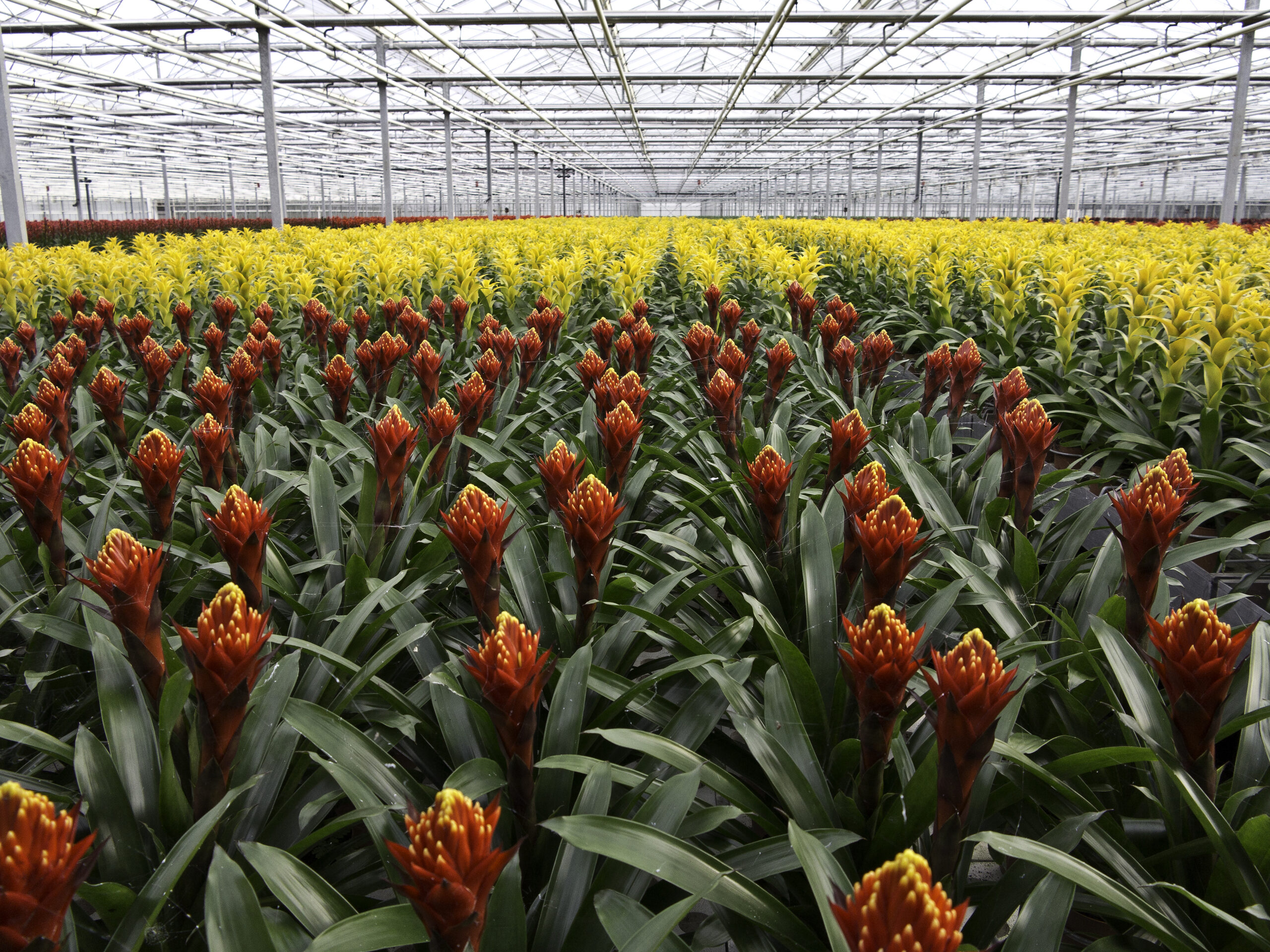 Energieplanologie als sleutel tot een toekomstbestendig systeem  